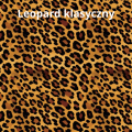 Leopard klasyczny iws.png