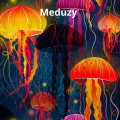 Meduzy m.png