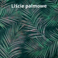 Liście palmowe tk.png