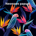 Neonowe papugi m.png