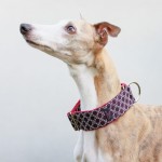 Obroża łańcuszek śliwkowy