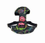 Szelki bezuciskowe smoki