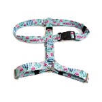 Szelki Guard tutti frutti arbuzy