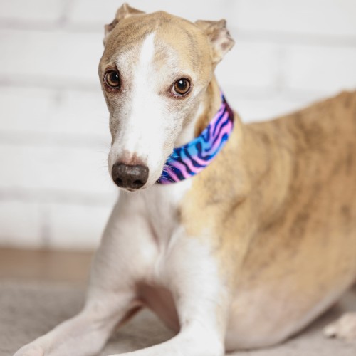 Kwadrat-250106-439-©ZUZANNA LUPA.jpg