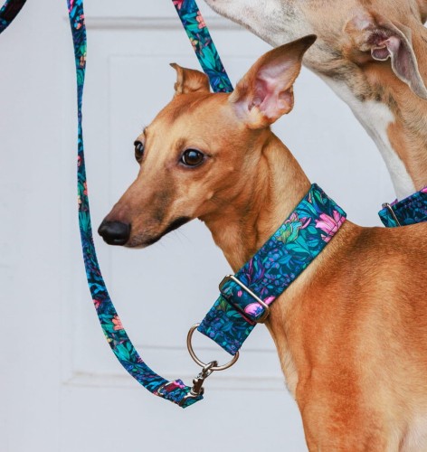 Kwadrat-250106-178-©ZUZANNA LUPA.jpg