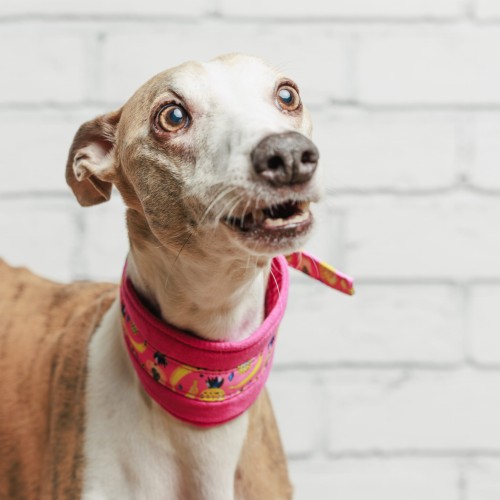 Kwadrat-250106-749-©ZUZANNA LUPA.jpg