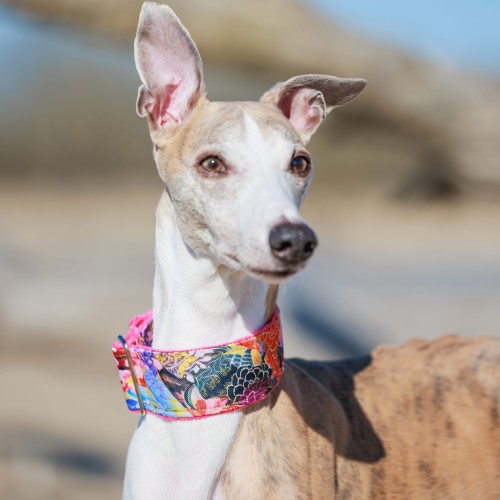 8 kwadrat-250328-159-©ZUZANNA LUPA.jpg