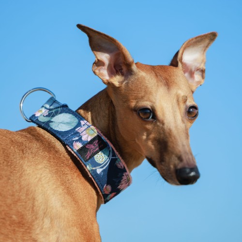 20 kwadrat-250328-418-©ZUZANNA LUPA.jpg