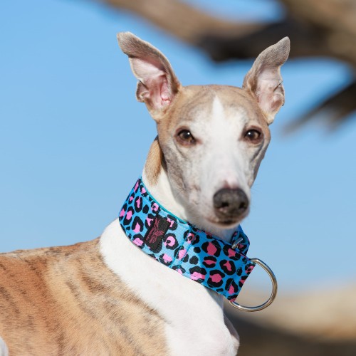 25 kwadrat-250328-480-©ZUZANNA LUPA.jpg