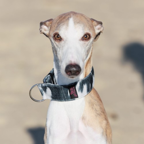 26 kwadrat-250328-505-©ZUZANNA LUPA.jpg