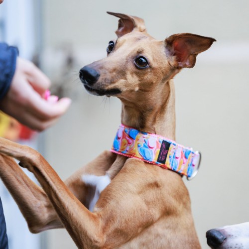 27 kwadrat-250329-26-©ZUZANNA LUPA.jpg