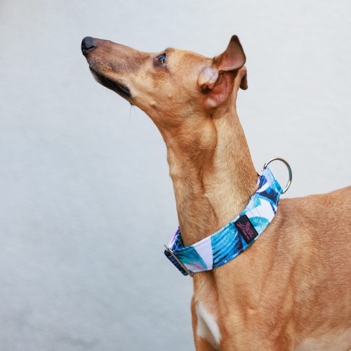 29 kwadrat-250329-27-©ZUZANNA LUPA.jpg