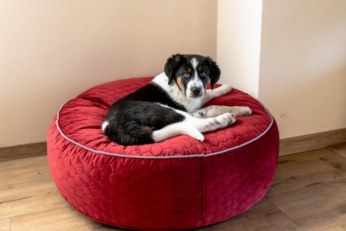 Lea-230102-2-©ZUZANNA LUPA.jpg