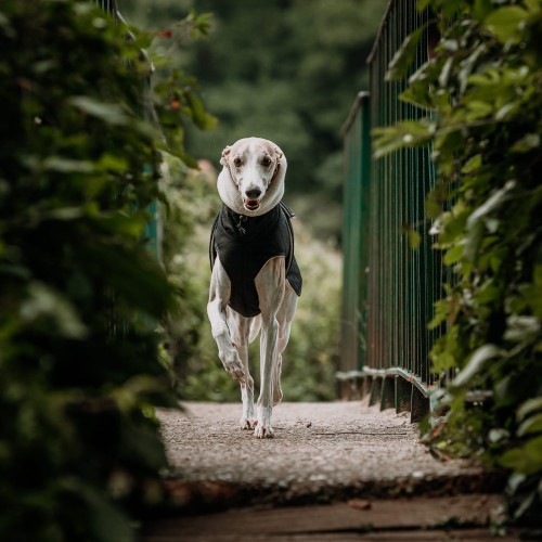 Kurtka 4 kwadrat-230904-1-©ZUZANNA LUPA.jpg