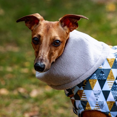 Kurtka 14 kwadrat-230904-30-©ZUZANNA LUPA.jpg