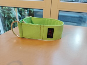 Obroża jednokolorowa jasny zielony